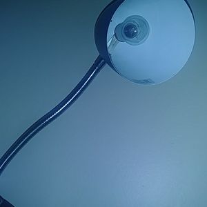 Desk lamp/light